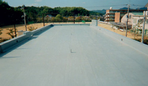 Roof waterproof Coating